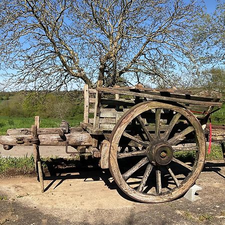 Saint-Pierre-du-Chemin La Brionniere Bed & Breakfast エクステリア 写真