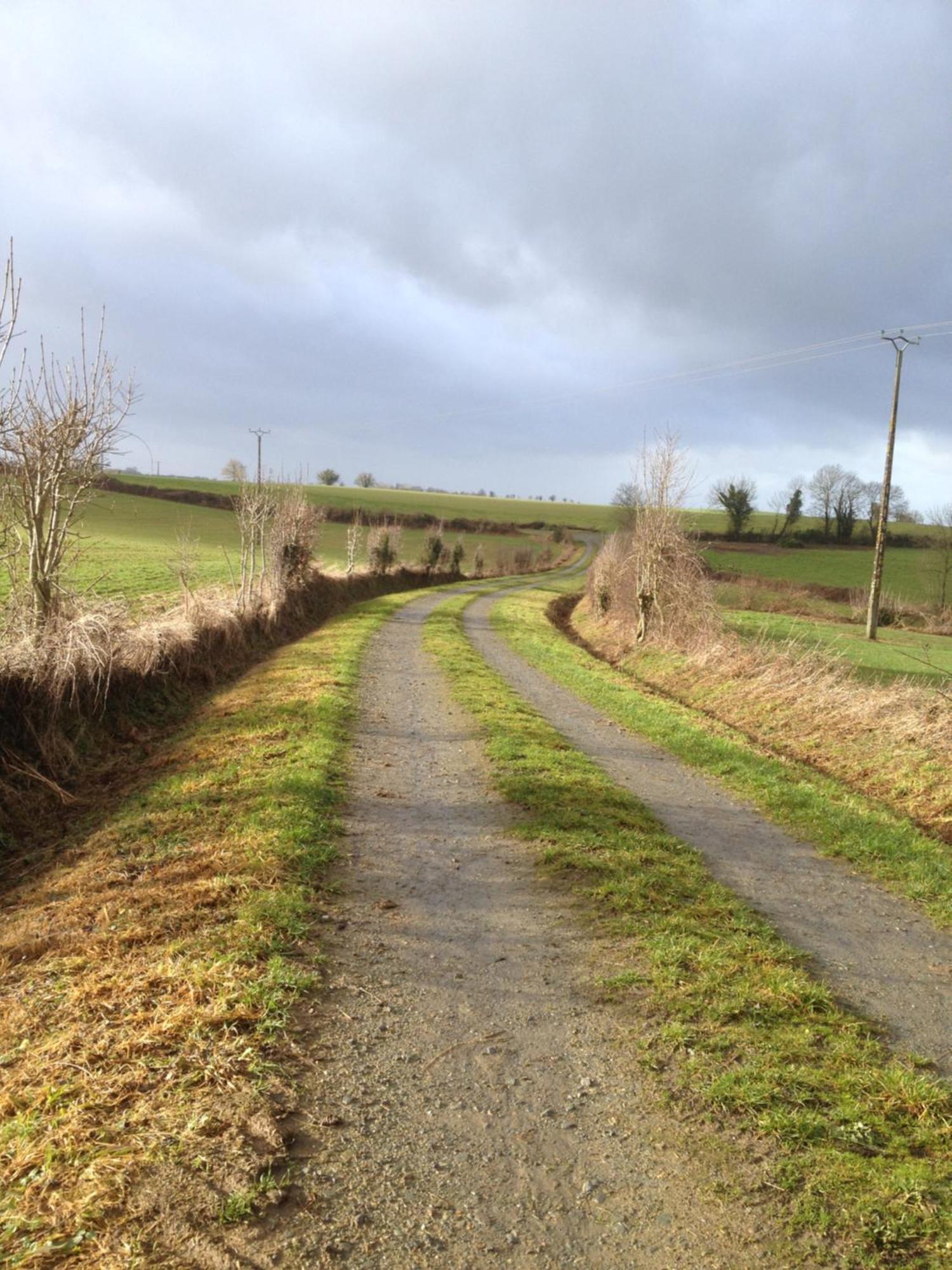 Saint-Pierre-du-Chemin La Brionniere Bed & Breakfast エクステリア 写真